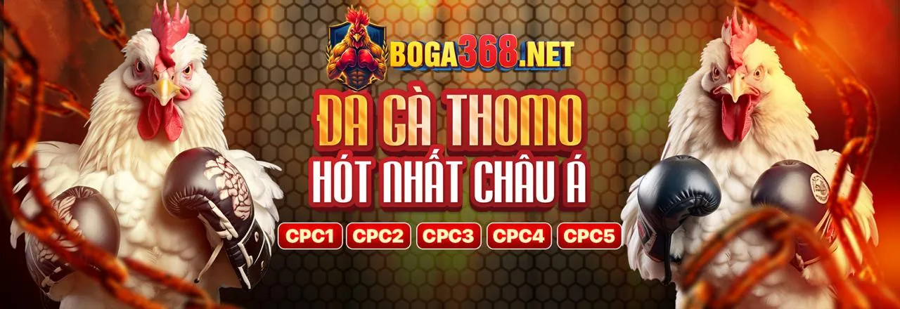 Hình ảnh tổng quan về đá gà win55, nền tảng cá cược trực tuyến hàng đầu