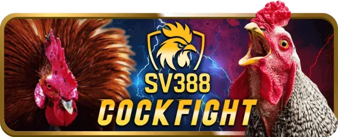Chơi Có Trách Nhiệm Win55