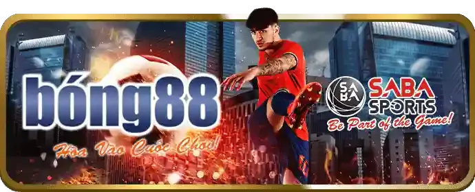Hình ảnh minh họa các giá trị cốt lõi của đá gà win55